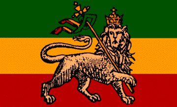 lion of judah rasta fire burn